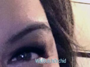 WildDutchOrchid
