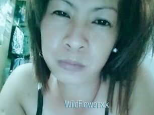 WildFlowerxx