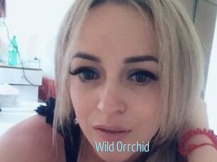 Wild_Orrchid