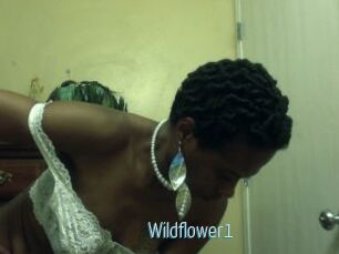 Wildflower1