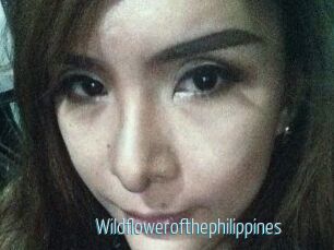 Wildflowerofthephilippines