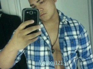 Wolfboy1213