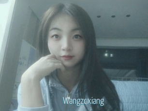 Wangzcxiang