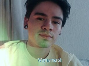 Waynemarsh