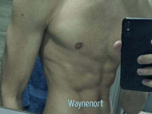 Waynenort