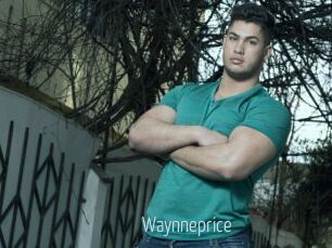 Waynneprice
