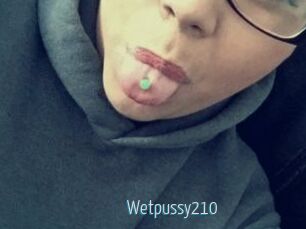 Wetpussy210