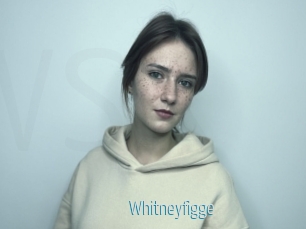 Whitneyfigge