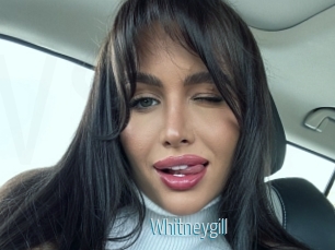 Whitneygill