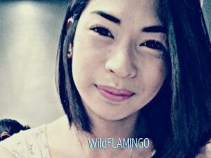WildFLAMINGO