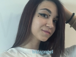 Wildagambell