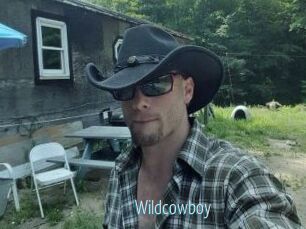 Wildcowboy