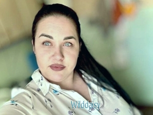 Wilddaisy