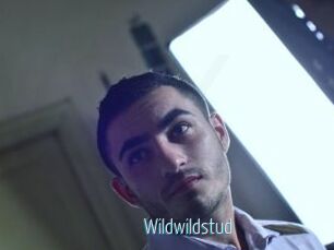wildwildstud Video Sexe