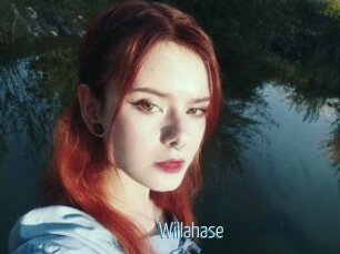 Willahase