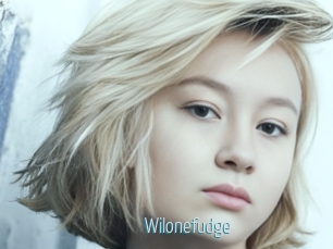 Wilonefudge