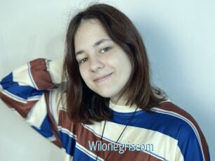 Wilonegriscom
