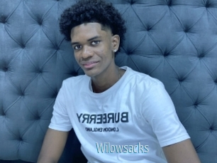 Wilowsacks