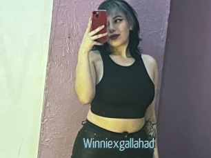 Winniexgallahad