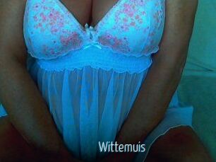 Wittemuis