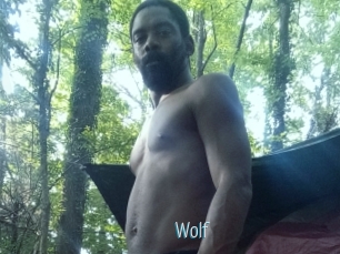 Wolf
