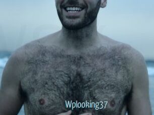 Wplooking37