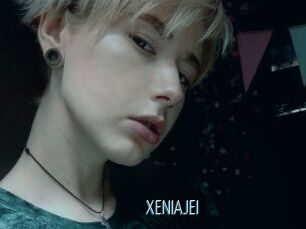 XENIA_JEI