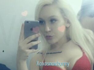 Xoxosnowbunny