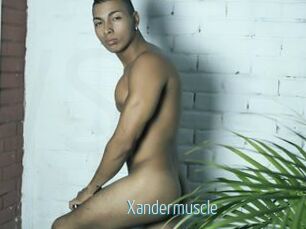 Xandermuscle