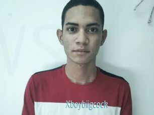 Xboybiigcock