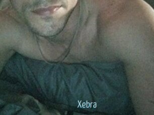 Xebra