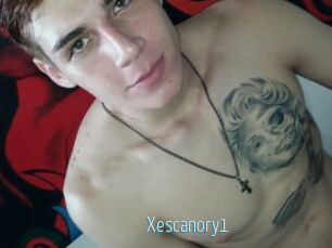 Xescanory1