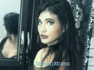 Xhorseccktransx