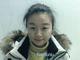 Xiaoniuniu