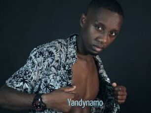 Yandynamo
