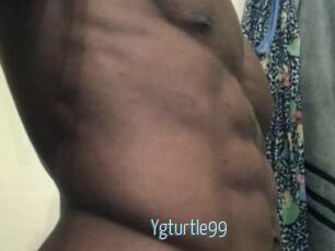 Ygturtle99