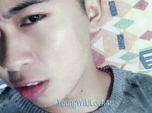 YoungWildCock4u