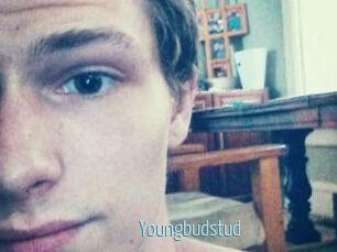 Youngbudstud