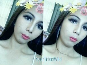 YourTransWild