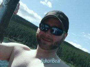 YukonBear