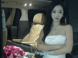 Yangqinmm