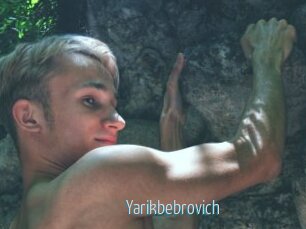 Yarikbebrovich
