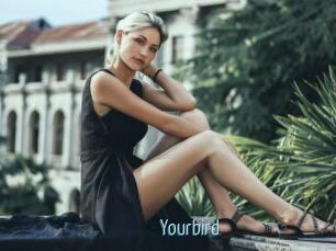 Yourbird