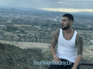 Yourfelonfantasy18