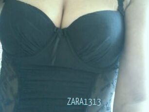 ZARA1313