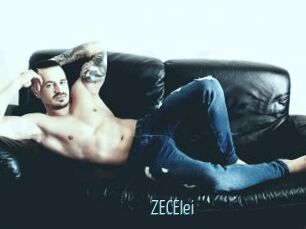 ZECElei