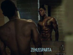 ZEHUS_SPARTA