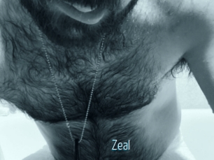 Zeal