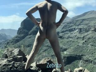 Zebrito