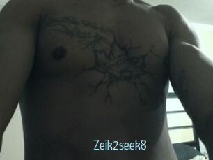 Zeik2seek8